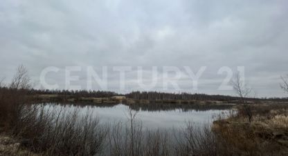 Купить земельный участок г. Старокубово с. Фотография №4