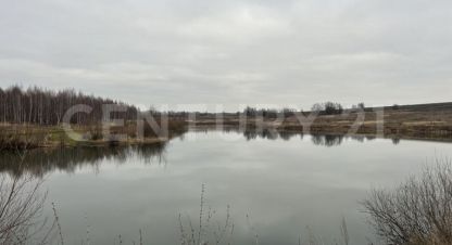 Купить земельный участок в г. Старокубово с. Фотография №2