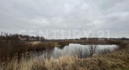 Купить земельный участок в г. Старокубово с. Фотография №3