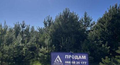 Продам земельный участок, на улице Лісова, г. Охотин, Волынская обл., Украина, агентство Aspo.biz. Фотография №1