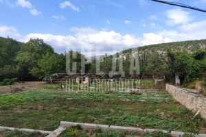 Продам земельный участок, г. Терновка, Крым авт. респ., Россия, агентство Среда Продам земельный участок, г. Терновка, Крым авт. респ., Россия, агентство Среда