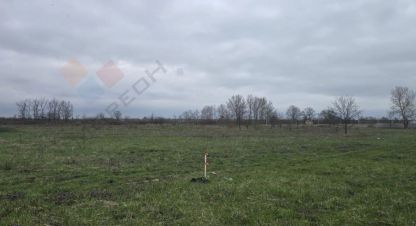 Купить земельный участок г. Садовое товарищество заря. Фотография №5