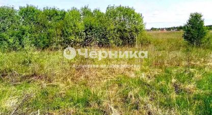 Купить земельный участок в г. Каменск- шахтинский. Фотография №2 Купить земельный участок в г. Каменск- шахтинский. Фотография №2