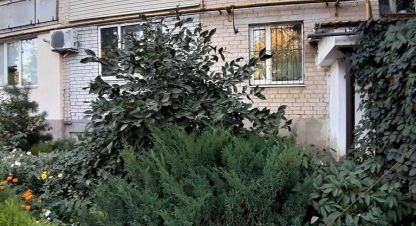 Продаётся 3-х комнатная квартира в г. Акимовка . Фотография №6 Продаётся 3-х комнатная квартира в г. Акимовка . Фотография №6