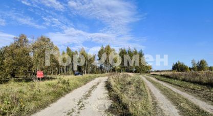 Купить земельный участок в г. Сетка. Фотография №2