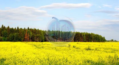 Купить земельный участок г. Ермолино д. Фотография №4