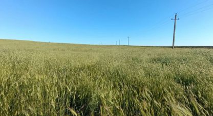 Купить земельный участок в г. Равнополье с. Фотография №2