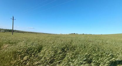 Купить земельный участок г. Равнополье с. Фотография №5