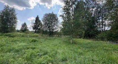 Купить земельный участок в г. Лебяжье гп. Фотография №3