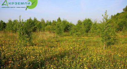 Купить земельный участок. Фотография №1 Продам земельный участок, г. П витаминный (рядом), Челябинская обл., Россия, агентство Акрземли. Фотография №1