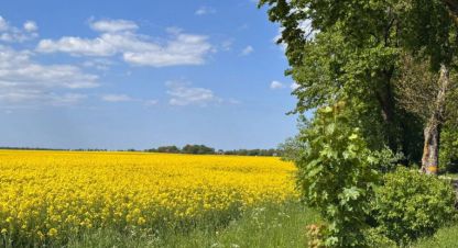 Купить земельный участок г. Пок баевка. Фотография №4