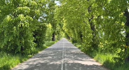 Купить земельный участок в г. Пок баевка. Фотография №2