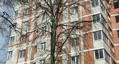 Купить 1 комнатную квартиру на улице Комсомольская ул г. Обнинск. Фотография №4 Купить 1 комнатную квартиру на улице Комсомольская ул г. Обнинск. Фотография №4