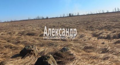 Купить земельный участок в г. Пуговкино. Фотография №3 Купить земельный участок в г. Пуговкино. Фотография №3