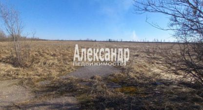 Продаётся земельный участок в г. Пуговкино. Фотография №6 Продаётся земельный участок в г. Пуговкино. Фотография №6
