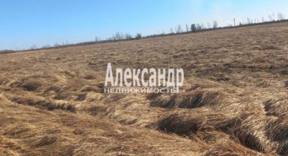 Купить земельный участок г. Пуговкино. Фотография №5 Купить земельный участок г. Пуговкино. Фотография №5