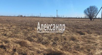 Купить земельный участок в г. Пуговкино. Фотография №2 Купить земельный участок в г. Пуговкино. Фотография №2