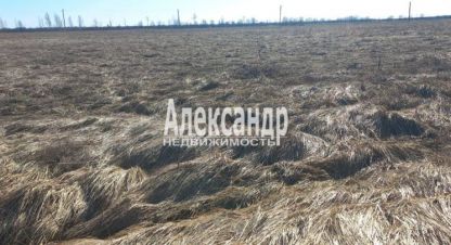 Купить земельный участок г. Пуговкино. Фотография №4 Купить земельный участок г. Пуговкино. Фотография №4