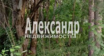 Продаётся земельный участок в г. Ской посёлок кузнечное. Фотография №6 Продаётся земельный участок в г. Ской посёлок кузнечное. Фотография №6