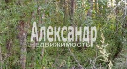 Продаётся земельный участок в г. Ской посёлок кузнечное. Фотография №7 Продаётся земельный участок в г. Ской посёлок кузнечное. Фотография №7