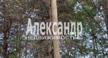 Купить земельный участок г. Ской посёлок кузнечное. Фотография №5 Купить земельный участок г. Ской посёлок кузнечное. Фотография №5