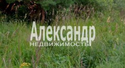 Купить земельный участок г. Ской посёлок кузнечное. Фотография №4 Купить земельный участок г. Ской посёлок кузнечное. Фотография №4