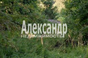 Продам земельный участок, Приозерский район, г. Ской посёлок кузнечное, Ленинградская обл., Россия, агентство Александр-Недвижимость