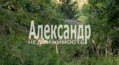 Купить земельный участок. Фотография №1 Продам земельный участок, Приозерский район, г. Ской посёлок кузнечное, Ленинградская обл., Россия, агентство Александр-Недвижимость. Фотография №1