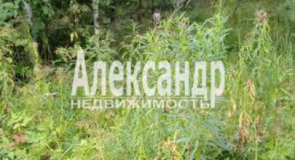 Купить земельный участок. Фотография №8 Купить земельный участок, Россия, г. Ской посёлок кузнечное. Фотография №8