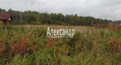 Купить земельный участок в г. Кузино. Фотография №2 Купить земельный участок в г. Кузино. Фотография №2