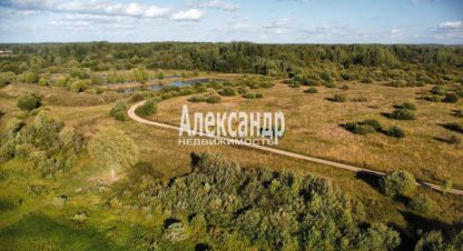 Купить земельный участок в г. Ручьи. Фотография №2
