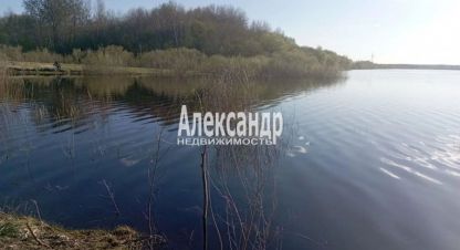 Продам земельный участок, на улице Центральная, г. Ручьи, Новгородская обл., Россия, агентство Александр-Недвижимость. Фотография №1