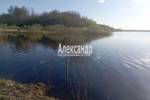 Продам земельный участок, на улице Центральная, г. Ручьи, Новгородская обл., Россия, агентство Александр-Недвижимость Продам земельный участок, на улице Центральная, г. Ручьи, Новгородская обл., Россия, агентство Александр-Недвижимость