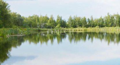 Купить коттедж/дачу в г. Снт алёшинские сады. Фотография №3 Купить коттедж/дачу в г. Снт алёшинские сады. Фотография №3