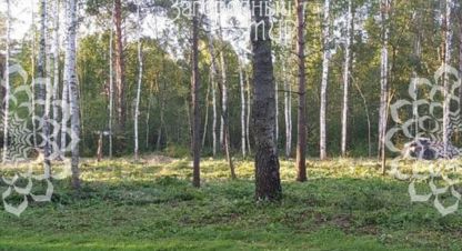 Купить земельный участок. Фотография №1 Продам земельный участок, на улице Селищи, г. Селищи, Тверская обл., Россия, агентство АН Загородный Мир . Фотография №1