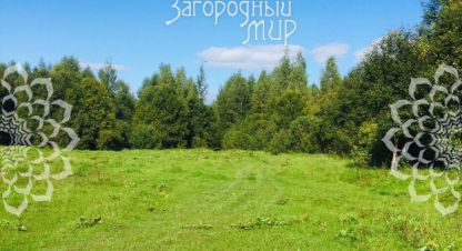 Купить земельный участок в г. Головино. Фотография №2