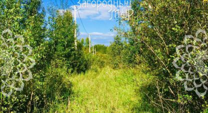 Купить земельный участок в г. Головино. Фотография №2