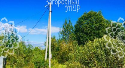 Купить земельный участок в г. Головино. Фотография №3