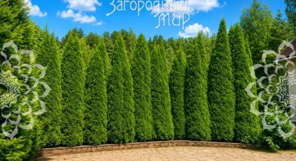 Купить дом 4-х комнатную, 290 кв. м. Фотография №10 Купить дом 4-х комнатную, 290 кв. м., Россия, г. Жилино-1. Фотография №10