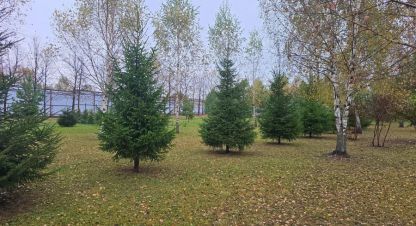 Купить земельный участок в г. Дмитровское с. Фотография №3