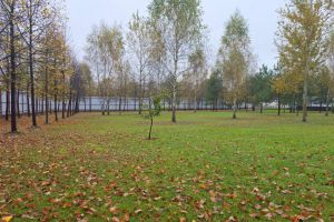 Продам земельный участок, на улице Луговая, г. Дмитровское с, Московская обл., Россия, агентство CENTURY 21 Россия
