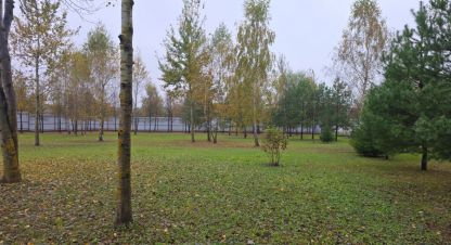 Купить земельный участок на улице Луговая г. Дмитровское с. Фотография №4