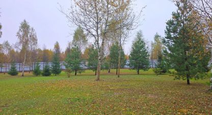 Купить земельный участок в г. Дмитровское с. Фотография №2