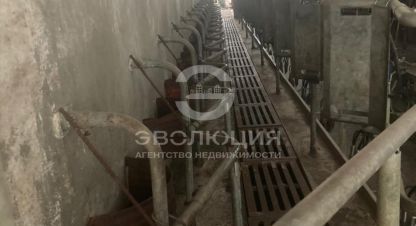 Купить земельный участок в г. Хутор извещательный. Фотография №3