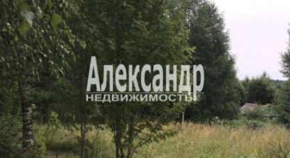 Купить земельный участок в г. Буяково. Фотография №2 Купить земельный участок в г. Буяково. Фотография №2