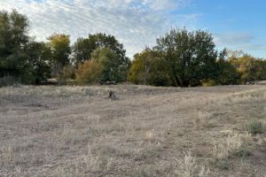 Продам земельный участок, на улице Липовая, г. Ище рп, Волгоградская обл., Россия, агентство Живем Дома Продам земельный участок, на улице Липовая, г. Ище рп, Волгоградская обл., Россия, агентство Живем Дома