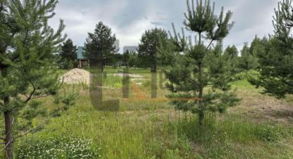Купить земельный участок на улице Никольская г. Диево-городище. Фотография №5 Купить земельный участок на улице Никольская г. Диево-городище. Фотография №5