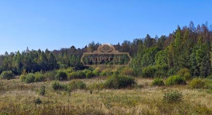 Купить земельный участок. Фотография №9 Купить земельный участок, Россия, г. Садовые участки. Фотография №9