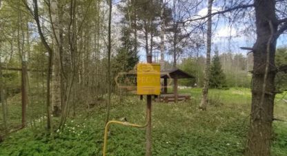 Купить 10-ти комнатную дом на улице Сарженская г. Агалатово. Фотография №4 Купить 10-ти комнатную дом на улице Сарженская г. Агалатово. Фотография №4