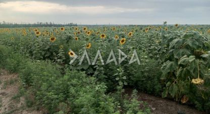 Купить земельный участок. Фотография №1 Продам земельный участок, г. Посёлок темерницкий, Ростовская обл., Россия, агентство Риэлторская компания Эллада. Фотография №1
